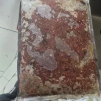 غذای پخته گربه و سگ