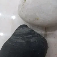 سنگ|کلکسیون و سرگرمی|تربت جام, معدآباد|دیوار