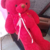 خرس قرمز