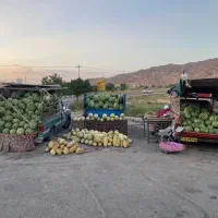 نیازمند کارگر برای کاسبی ادم درستی میخام