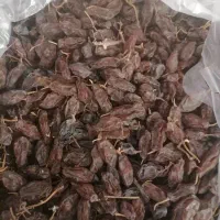 سلام مویز انگور بش شیرین|خوردنی و آشامیدنی|شیراز, ارم|دیوار