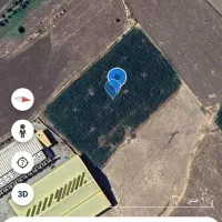 فروش زمین کشاورزی ریخلان|فروش زمین و ملک کلنگی|مریوان, |دیوار