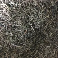 چای طبیعی|خوردنی و آشامیدنی|کرج, ساسانی (قلمستان)|دیوار