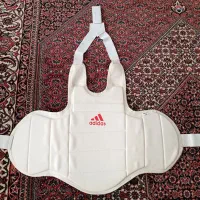 هوگو سفید کاراته