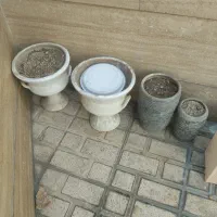 فروش گلدون|گل و گیاه طبیعی|ری, دیلمان|دیوار