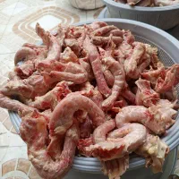 دنبه مرغ بال و گردن و کتف موجوده