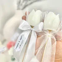 گیفت|گل مصنوعی|قشم, |دیوار