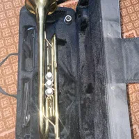 ساز ترومپت|سازهای بادی|کاشان, باغ گیاهشناسی کاشان|دیوار