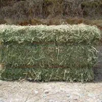 کاه کوبیده و یونجه پرس خشک انباری