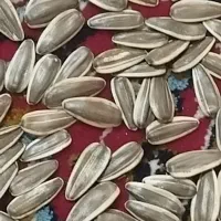 تخمه درجه یک اونس 215،،220