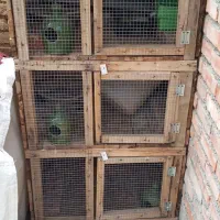 قفس دست ساز سالم