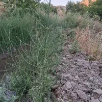 زمین اجاره ای