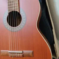 گیتار m6 پارسی|گیتار، بیس، امپلیفایر|گلستان (تهران), |دیوار