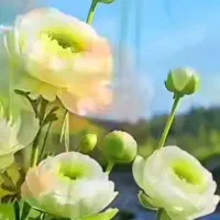 همراه بیمار(اقا)