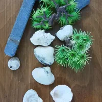 پمپ اکواریوم|ماهی|رباط‌کریم, رباط‌کریم|دیوار