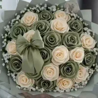 گل روبانی و جاودانه