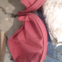 کالسکه دوقلو