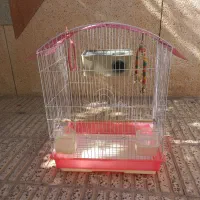 قفس پرنده|لوازم جانبی حیوانات|سرخه, |دیوار