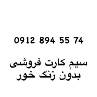 20سال خاموش بدون زنگ خور|سیم‌کارت|تهران, امامت|دیوار