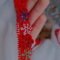 کریشی