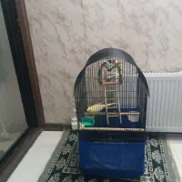 قفسه پرنده
