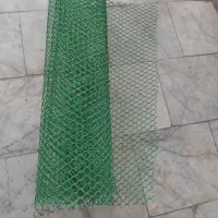 تور مرغی