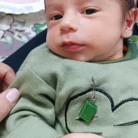 مدارک به نام مهدی نعمتی گمشده