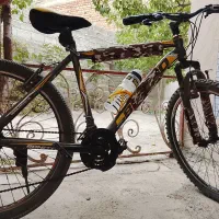 دوچرخه کاملاً سالم