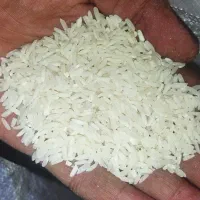 فقط ب صورت عمده
