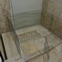 پارک سگ