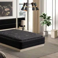 انواع تشک *تخت *تشک هتلی *باکس *خوشخواب