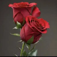 کار در امورات منزل