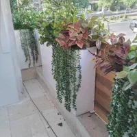 گیاه و درختچه مصنوعی برای تزیین فلاور باکس رستوران|گل مصنوعی|تهران, بازار|دیوار