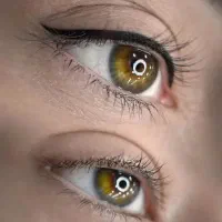 آرایش دائم و آموزش