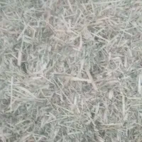 کاه|عمده‌فروشی|شیروان (خراسان), |دیوار