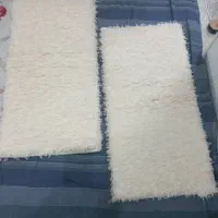 یک جفت پادری نو جنس شگی