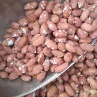 بادام زمینی محلی درجه یک