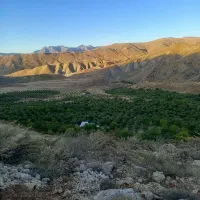 اجاره زمین جهت کشت صیفی جات