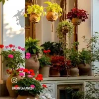 آشپزی و نظافت امور منزل