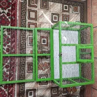 قفس راهکش|پرنده|اصفهان, قهجاورستان|دیوار