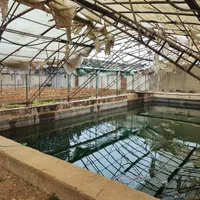 گلخانه آماده به کار در شهریار