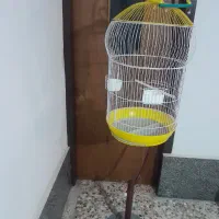 قفس پرنده|لوازم جانبی حیوانات|تالش, هشتپر|دیوار