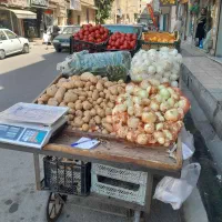 چرخ گاری برای میوه فروشی درحدنوسالم