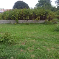 ۲۵۰ متر زمین مسکونی با پروانه ساخت