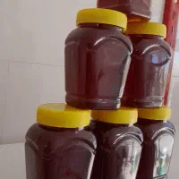 عسل طبیعی(از تولید ب مصرف)|خوردنی و آشامیدنی|لاله زار, |دیوار