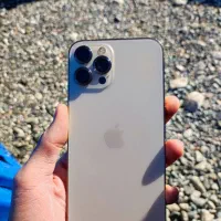 iphone 12 pro max 256g