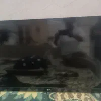 تلویزیون