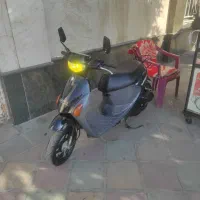 پاکشتی درحد خشک کلکسیونی