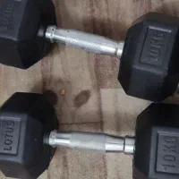 دمبل لوتوس