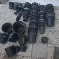 گلدون در سایزهای مختلف تمیز و سالم قیمت مناسب|گل و گیاه طبیعی|فلاورجان, |دیوار